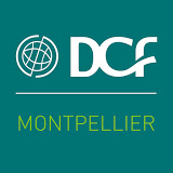 logo dcf