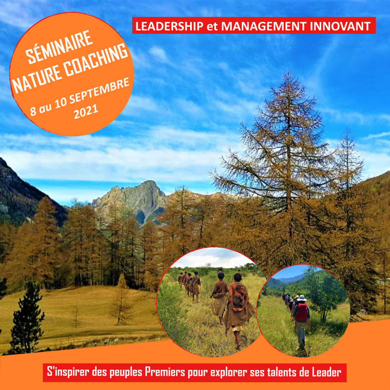 Séminaire leadership et management innovant