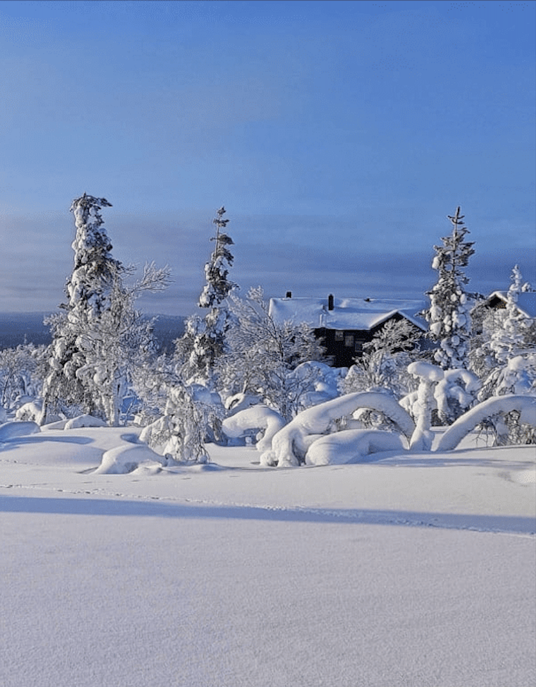 Séminaire-Laponie-2024