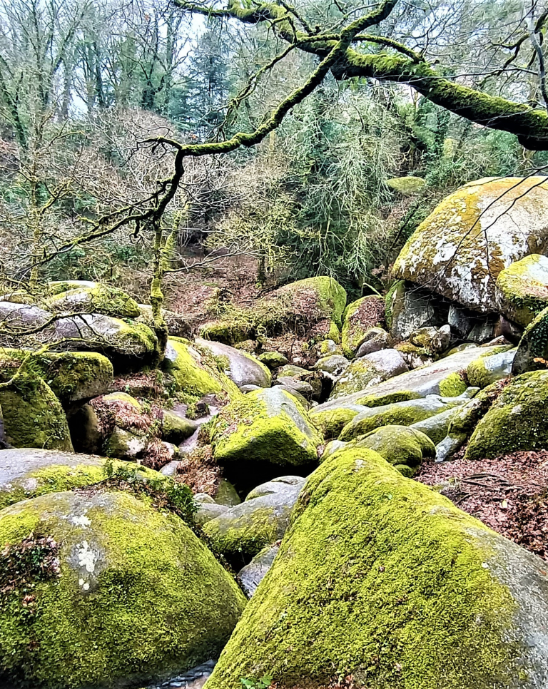 Séjour Bretagne